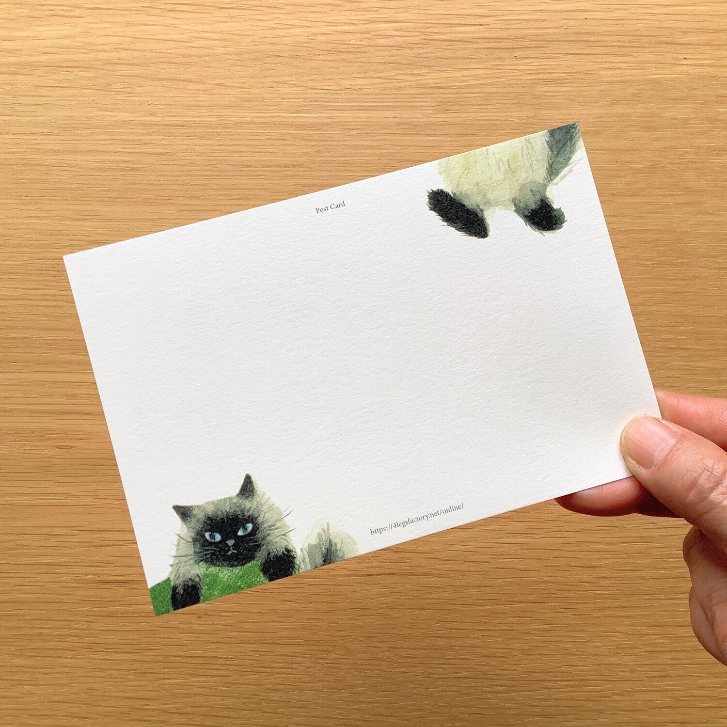 我和貓咪 插畫明信片｜日本 4legs