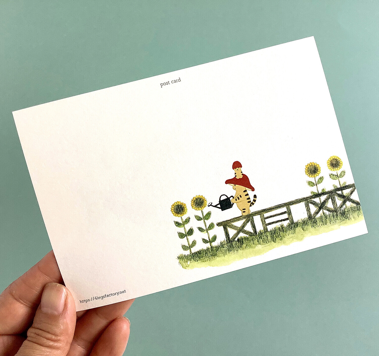 夏天_蘑菇貓 貓咪繪本明信片｜日本 4legs