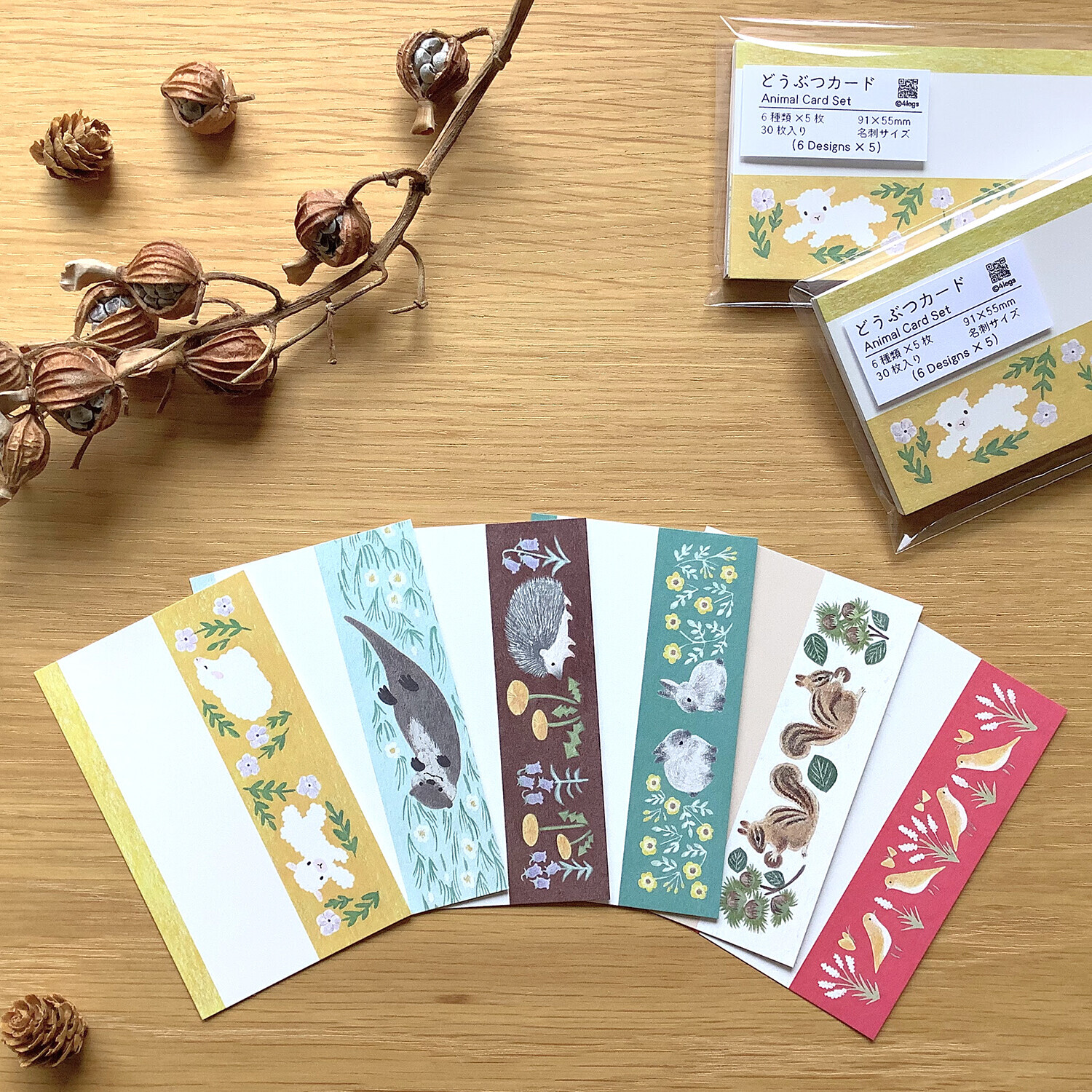 動物 名片小卡片 6種圖案｜日本 4legs