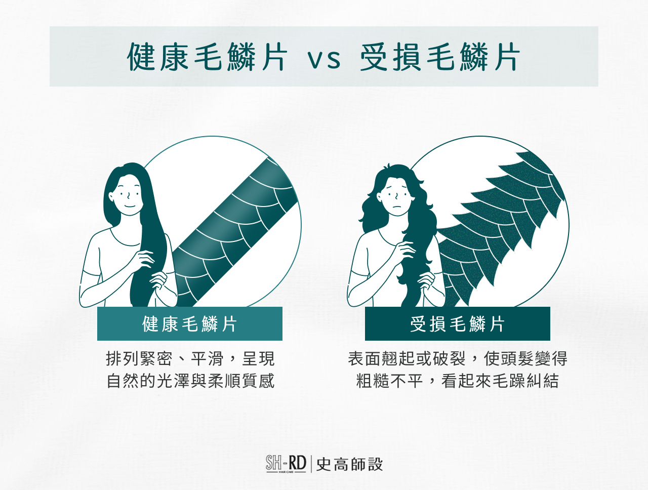 健康毛鱗片vs受損毛鱗片