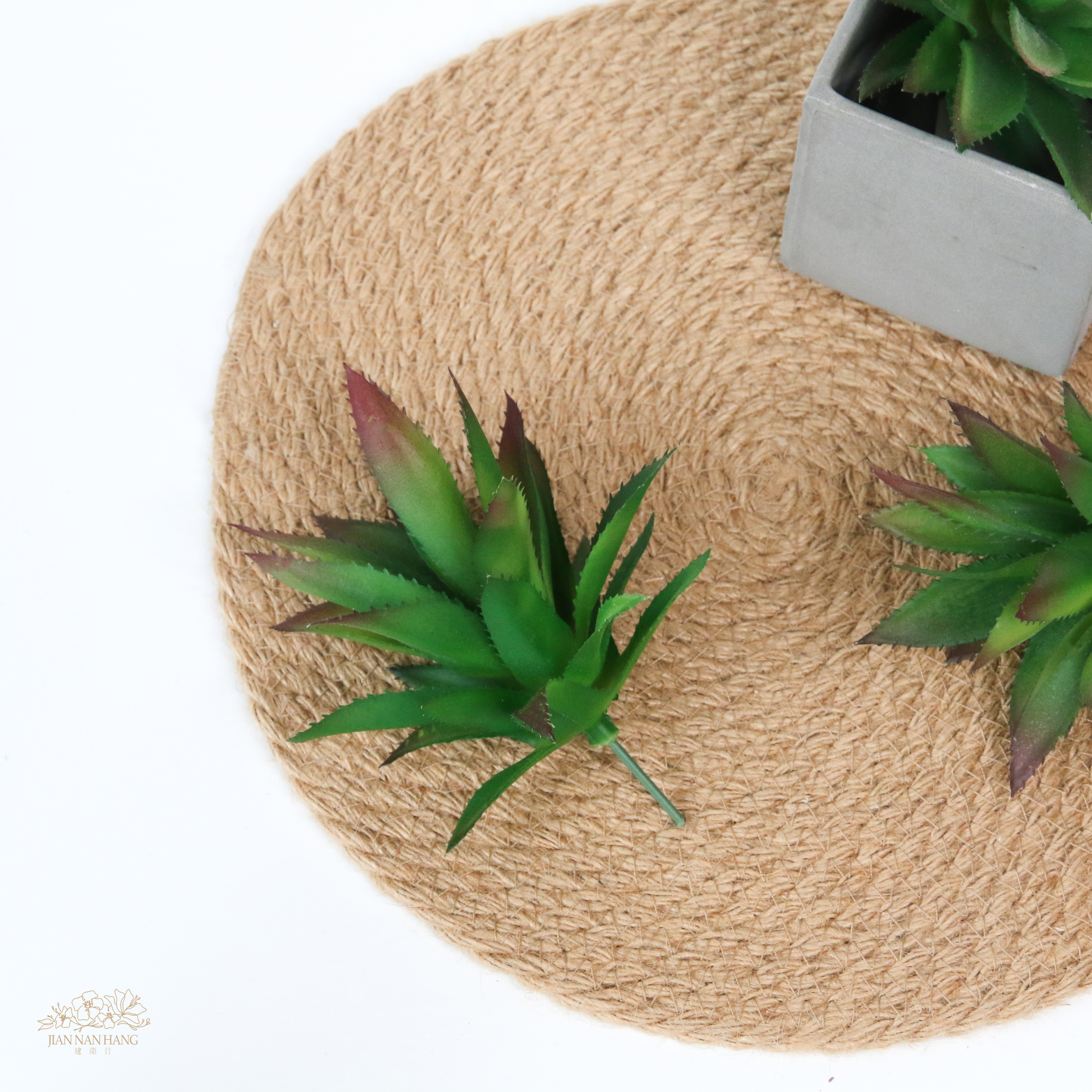 擬真多肉 鳳梨頭