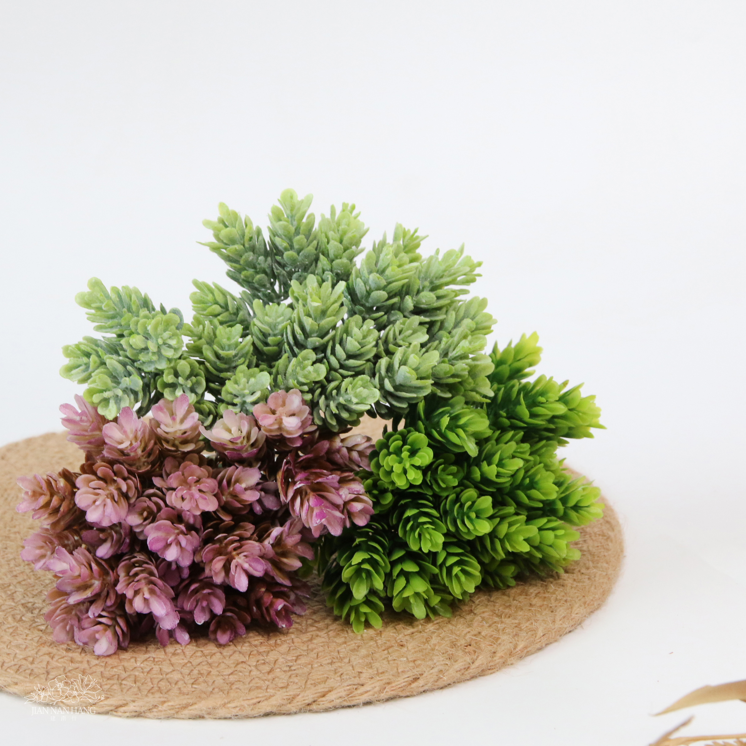 擬真多肉 鳳梨草 3色