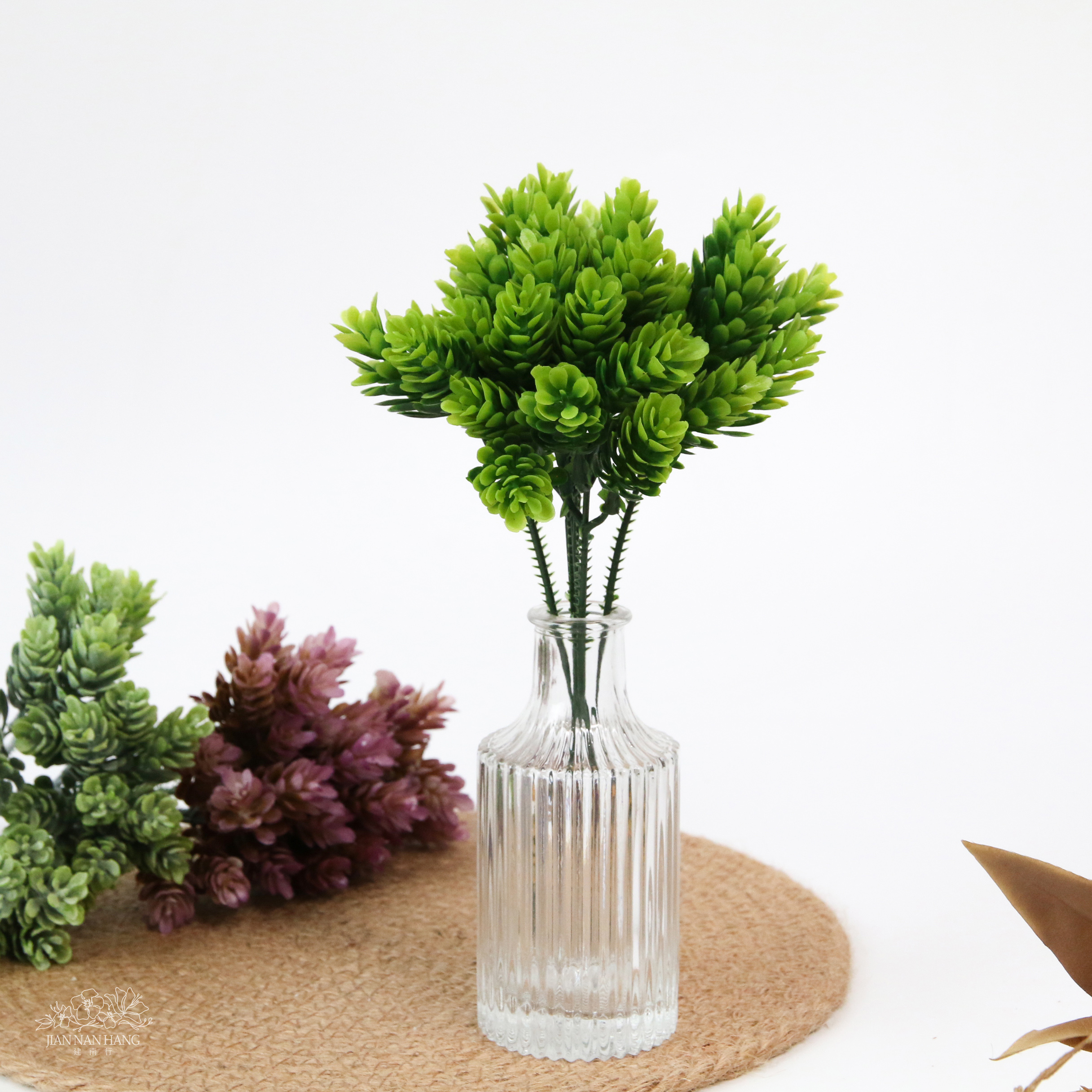 擬真多肉 鳳梨草 3色