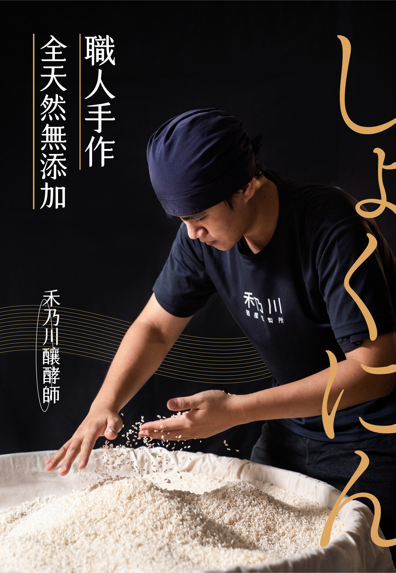 禾乃川-紫米甘酒500mlx10入【日本譽為喝的點滴】