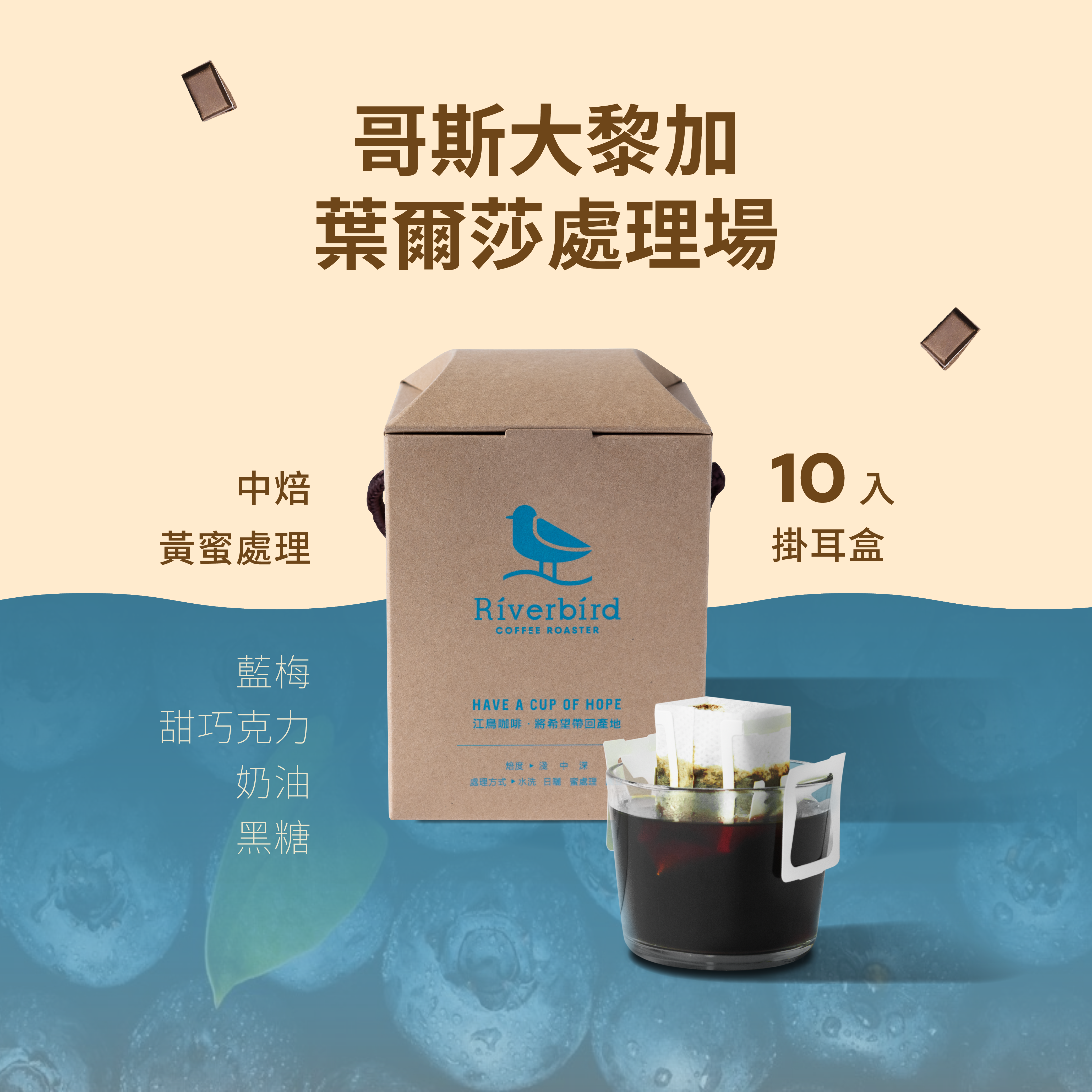 【一期一會】《10入掛耳》哥斯大黎加 葉爾莎處理場 黃蜜處理 中焙