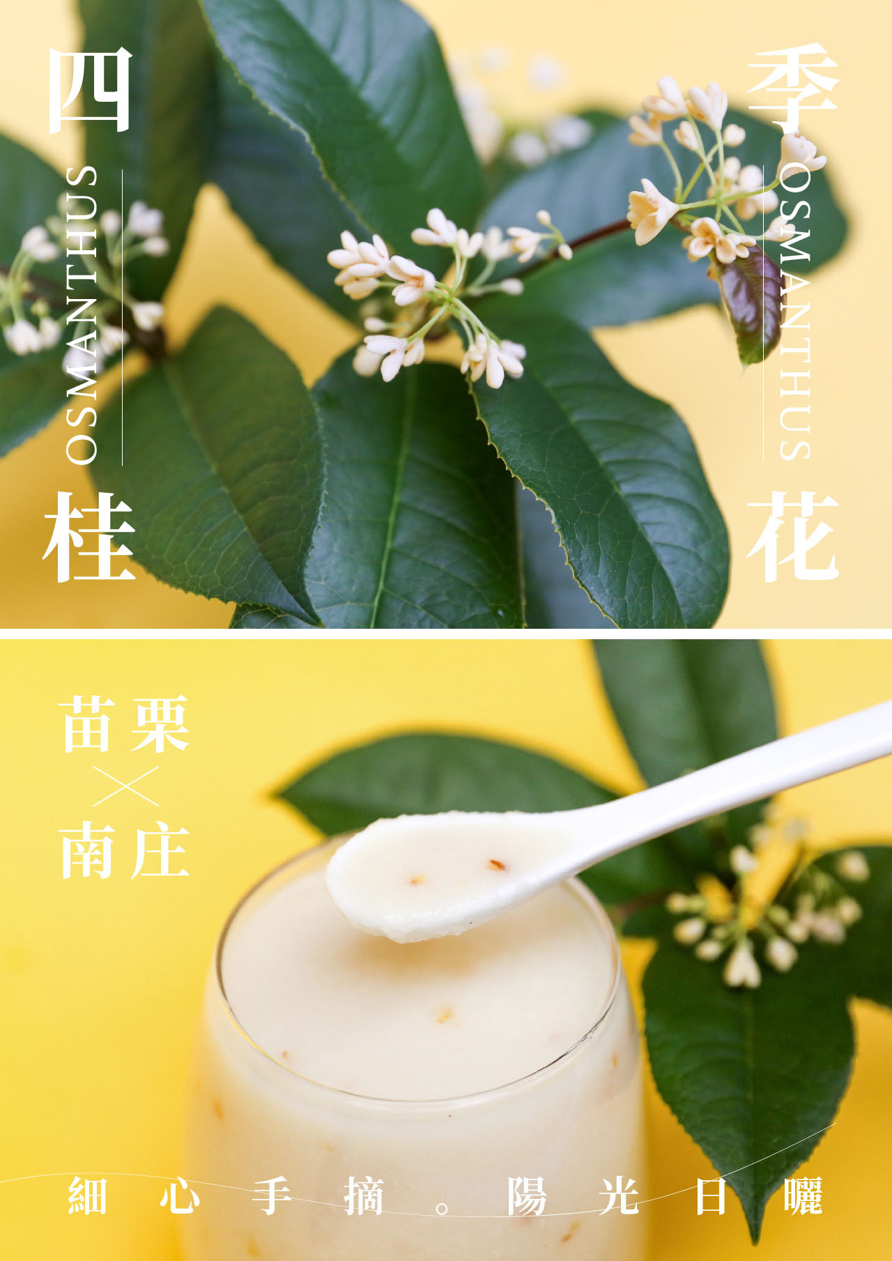 禾乃川-桂花甘酒500mlx10入【日本譽為喝的點滴】