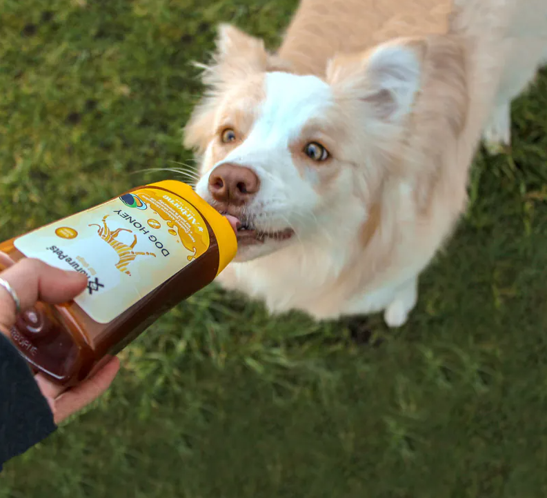 KORURE｜紐西蘭狗狗蜂蜜(犬) 250ml