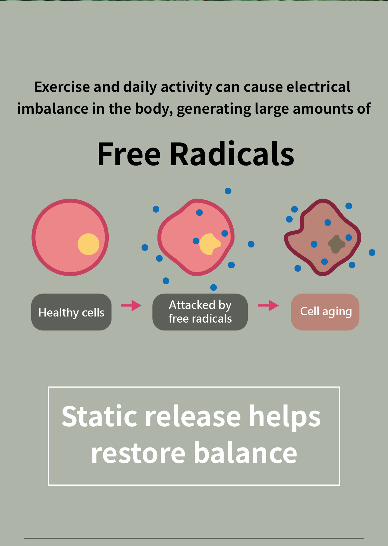 USTINI Wuji Earthing Shoes static release helps restore balance from free radicals