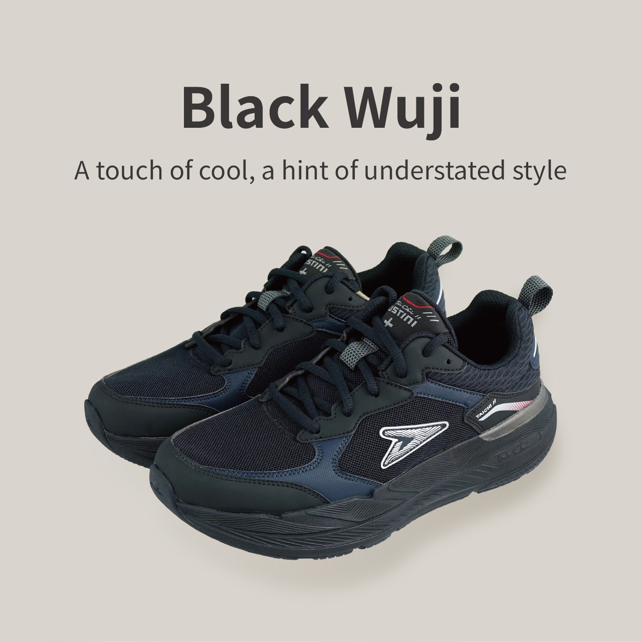 USTINI Wuji Earthing Shoes black Wuji