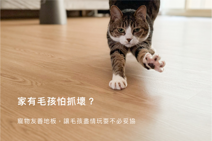 寵物友善地板