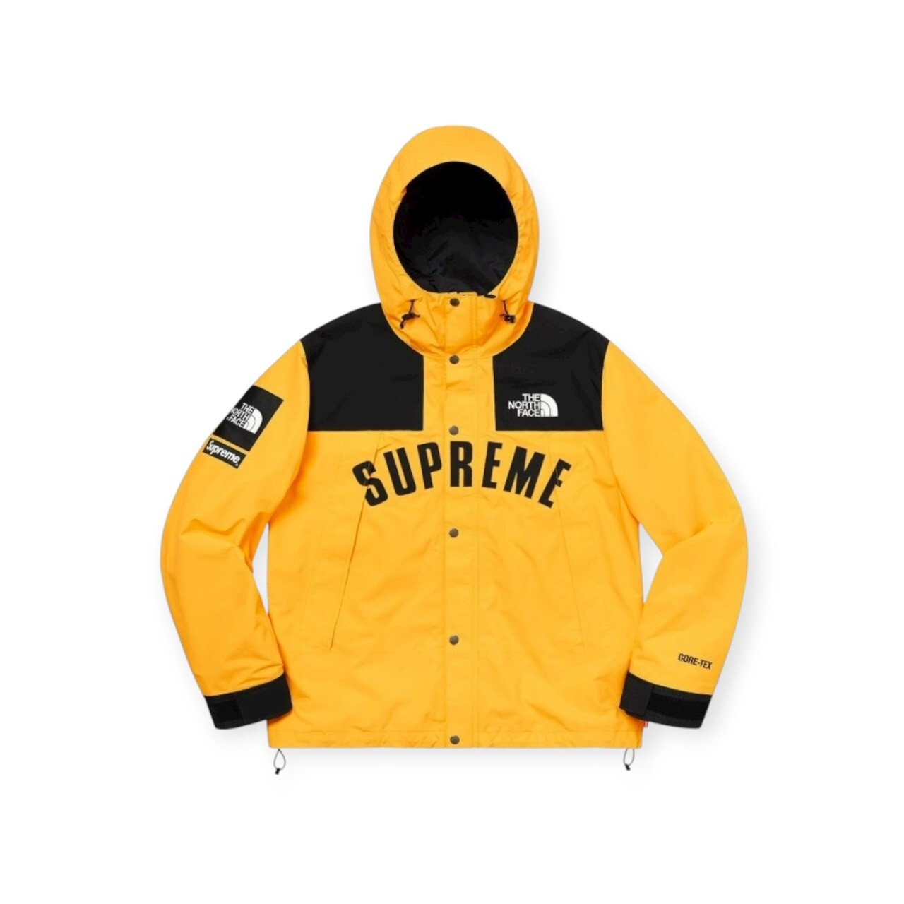 Supreme The North Face Arc Logo Mountain Parka SS19 FULL SIZE