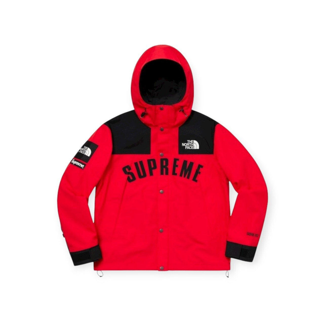 Supreme The North Face Arc Logo Mountain Parka SS19 FULL SIZE