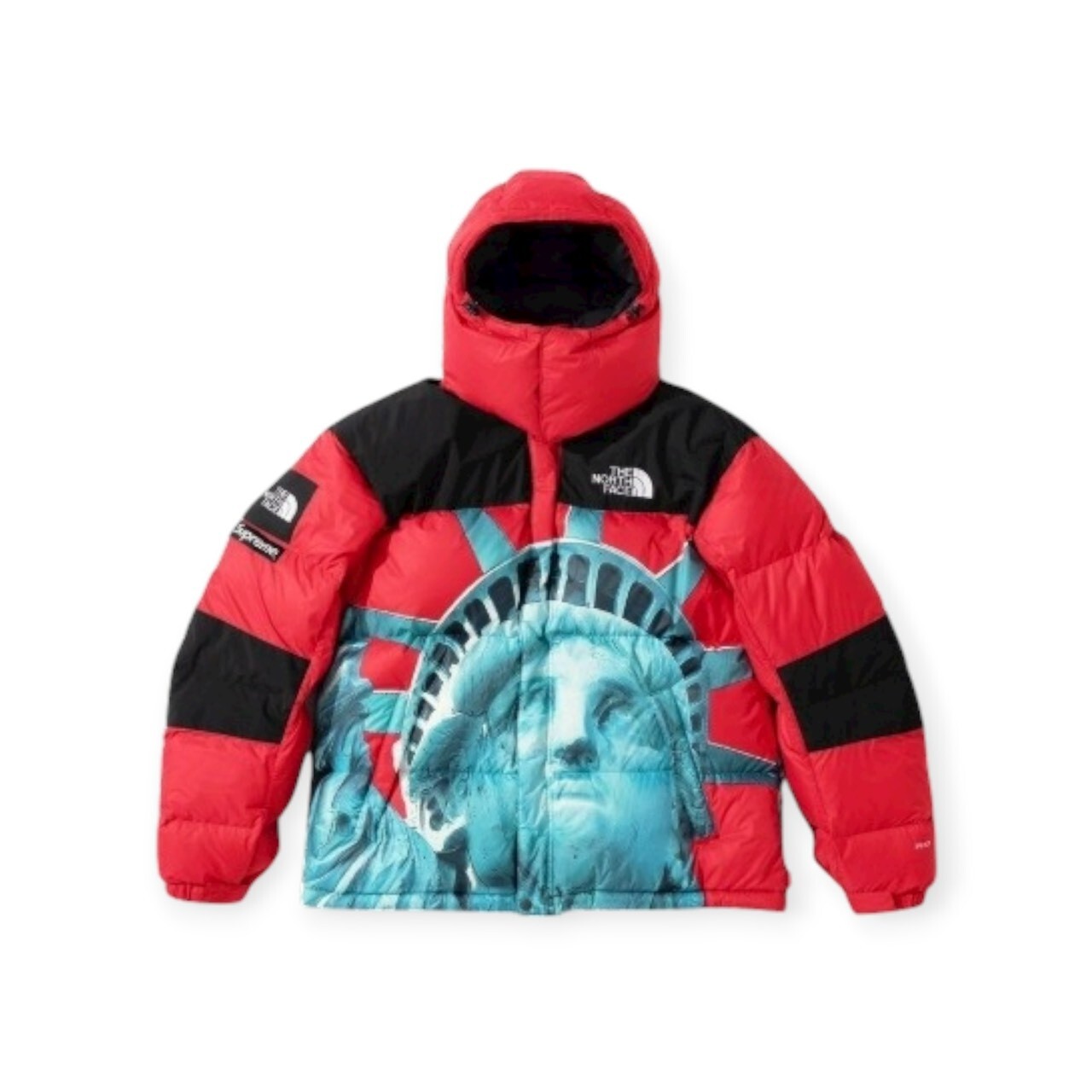 Supreme The North Face Statue of Liberty Baltoro Jacket FW19 SIZE S