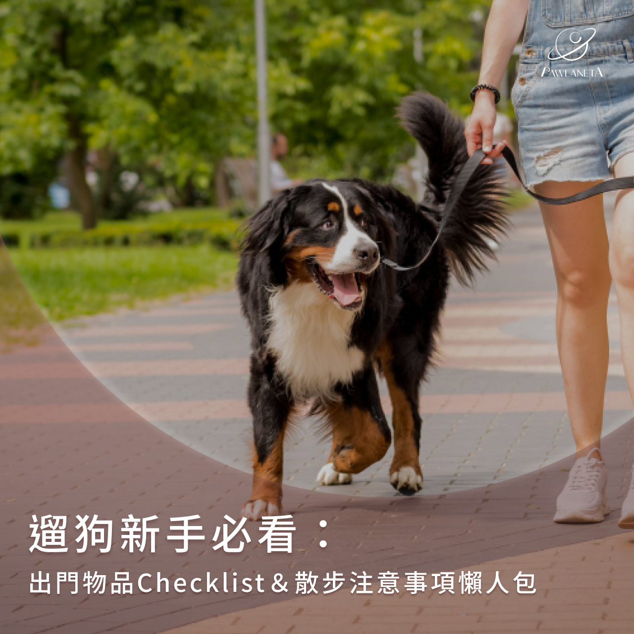遛狗新手必看:出門物品Checklist&散步注意事項懶人包