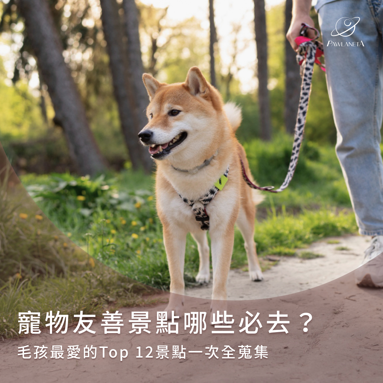 寵物友善景點哪些必去？毛孩最愛的Top 12景點一次全蒐集