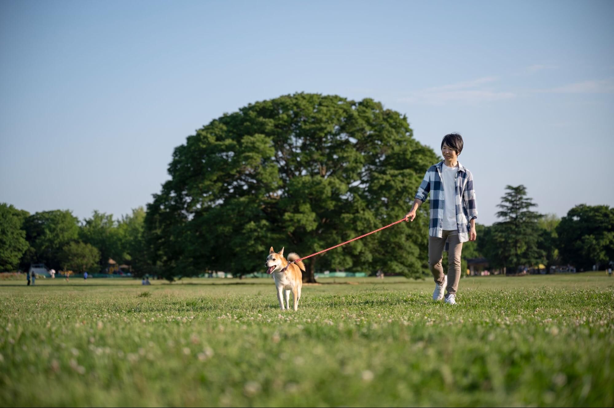 寵物友善景點示意圖
