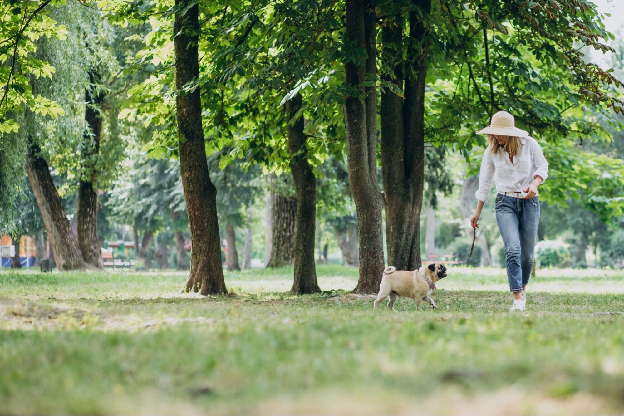 寵物友善景點示意圖