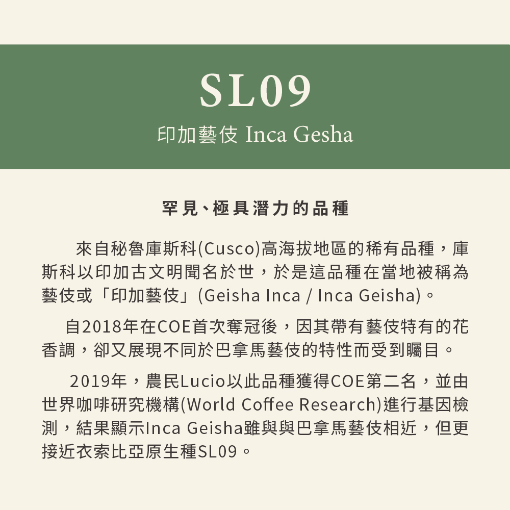 CR95-秘魯 水洗 庫斯科 布埃納維斯塔 索娜拉 SL09 (Gesha Inca)　0.25磅