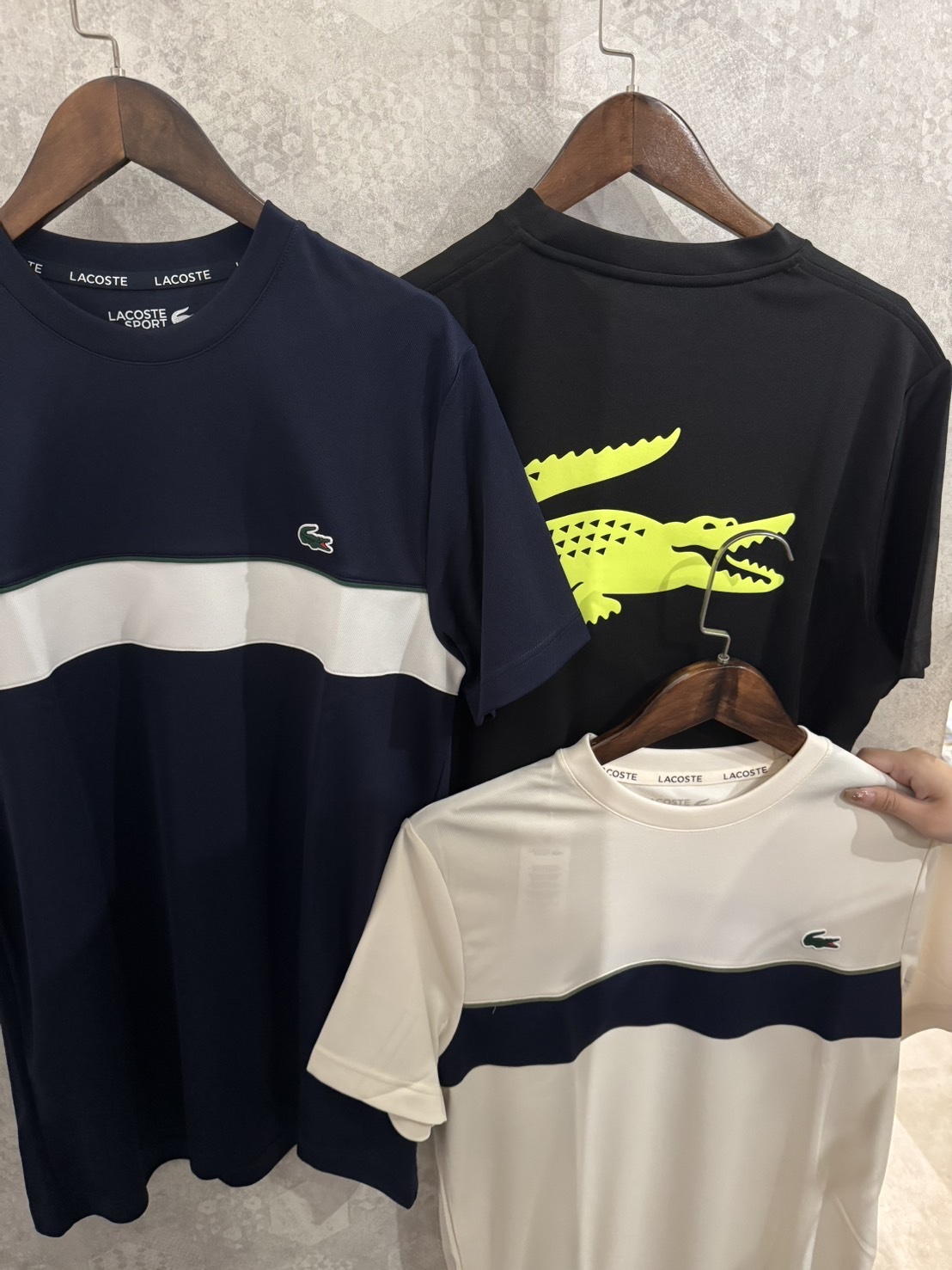 Lacoste 鱷魚 橫條/背後大Logo 透氣 排汗 短袖上衣 短T