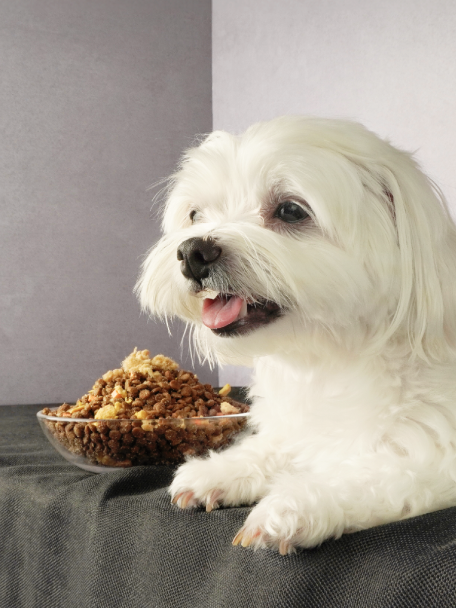 【HeroMama】犬糧｜天然蔬果肉鬆糧 (小顆粒)