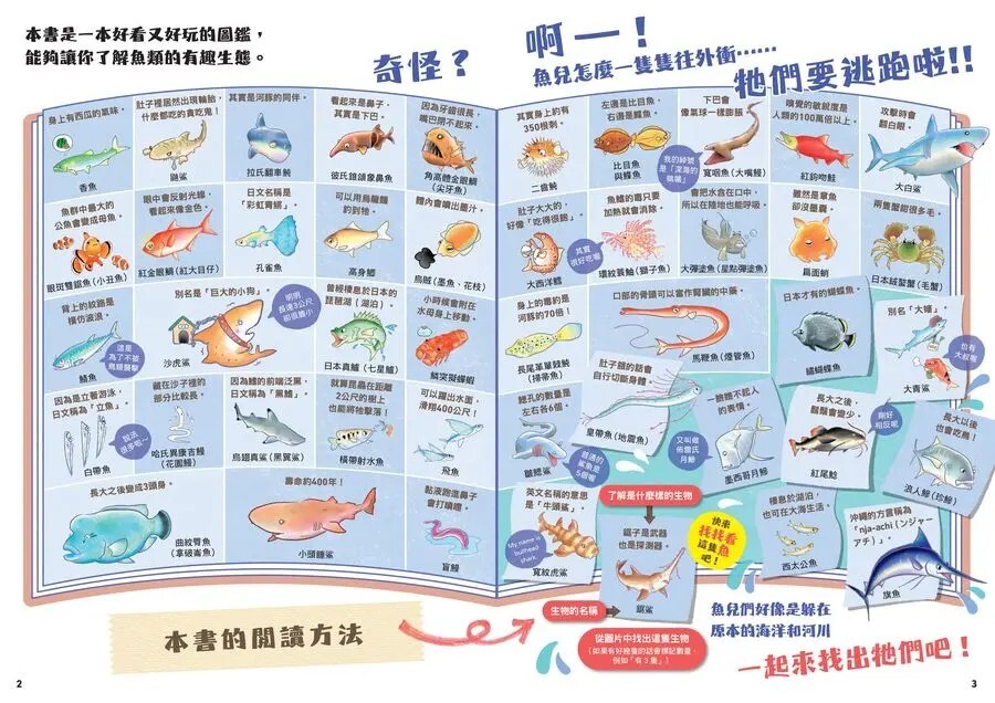 超有趣的找一找魚類圖鑑