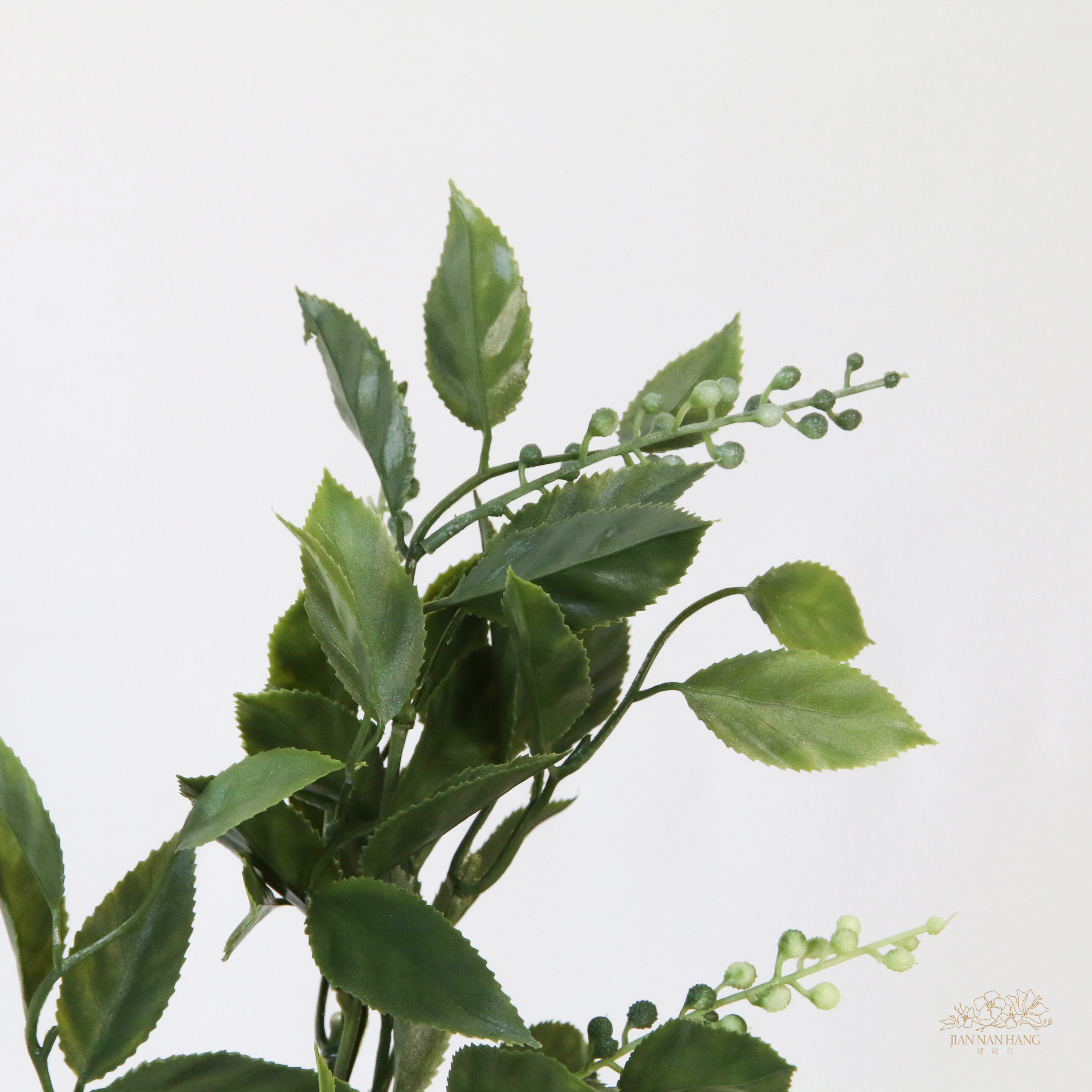 人造葉 義大利樺木葉含果