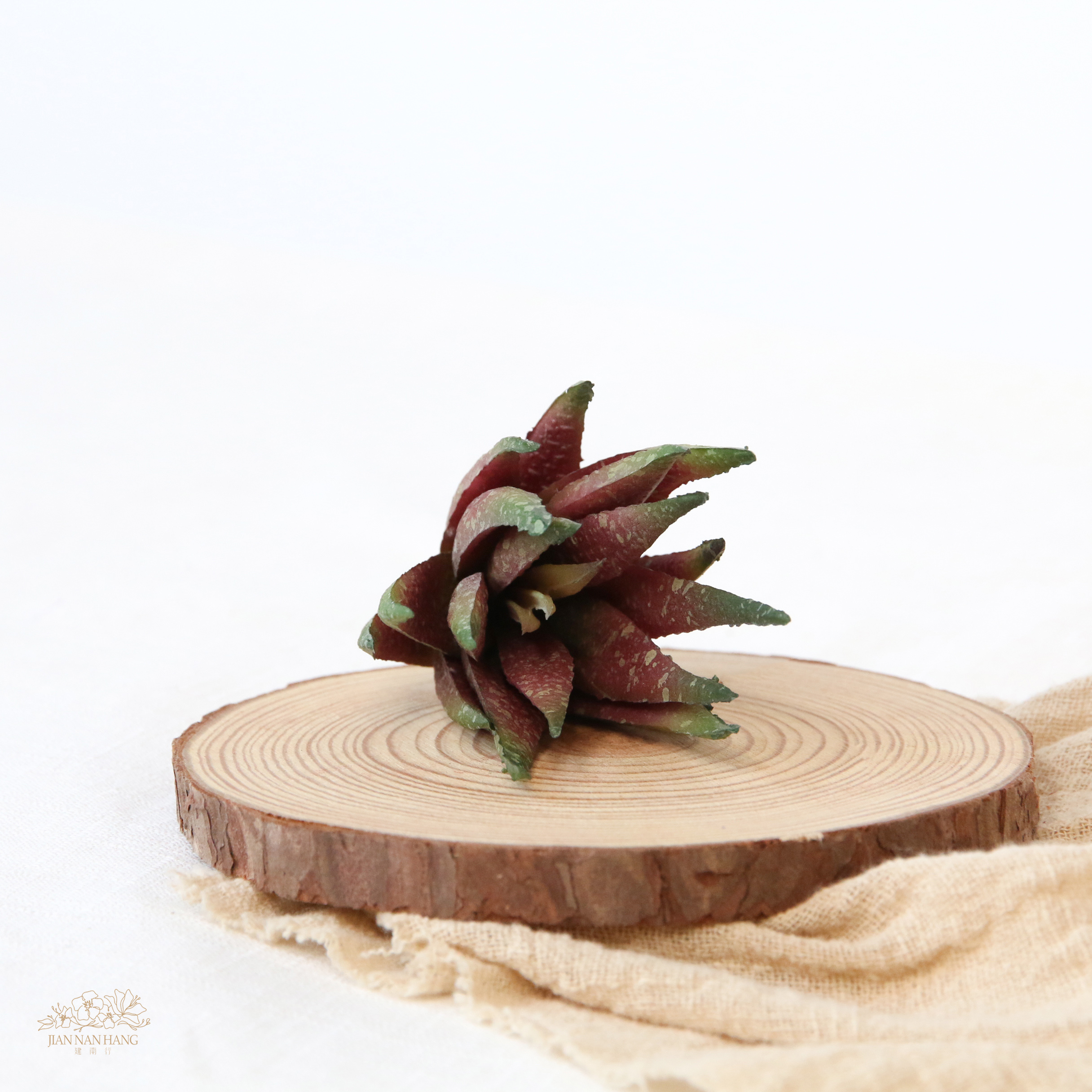 人造多肉 迷你蘆薈 紅綠