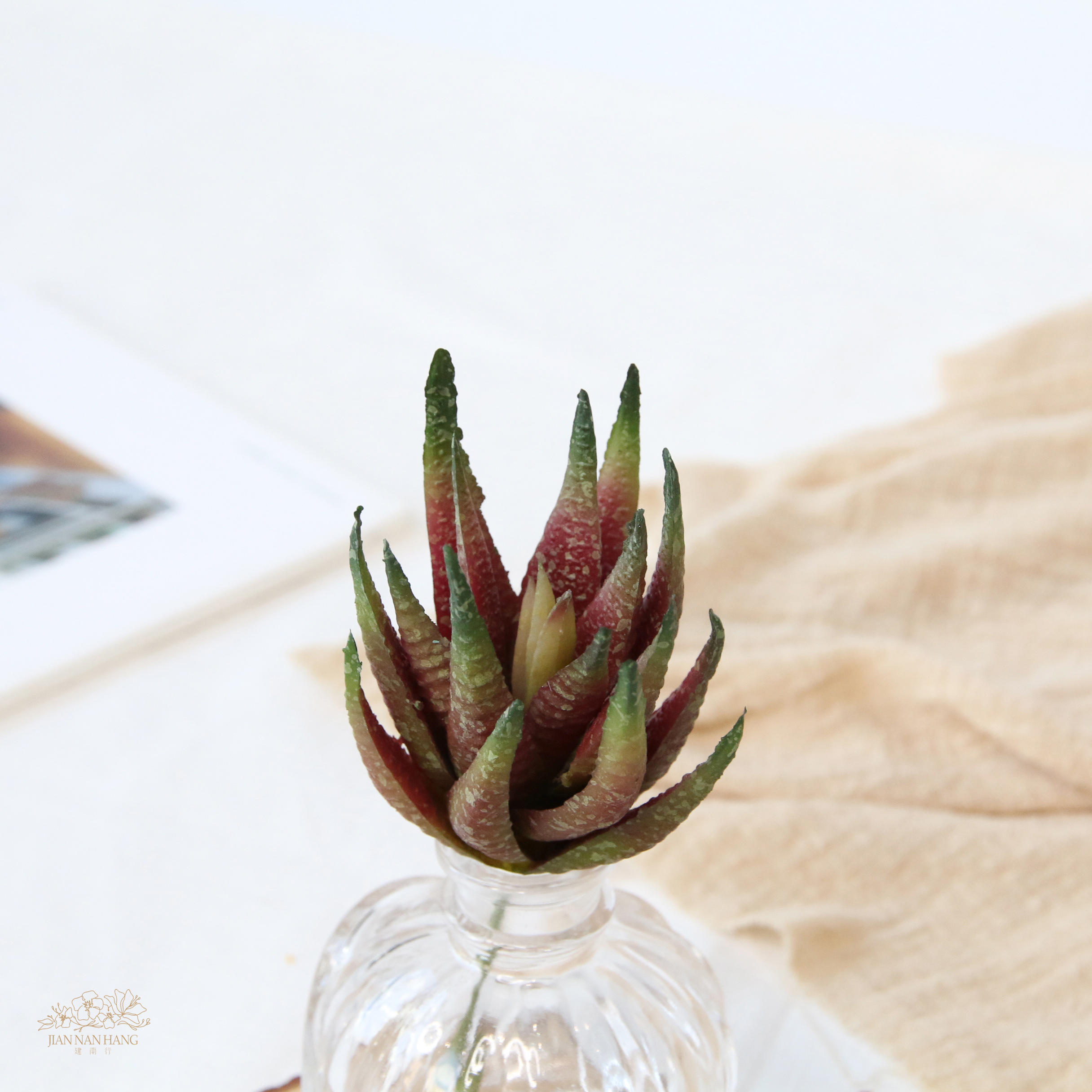 人造多肉 迷你蘆薈 紅綠