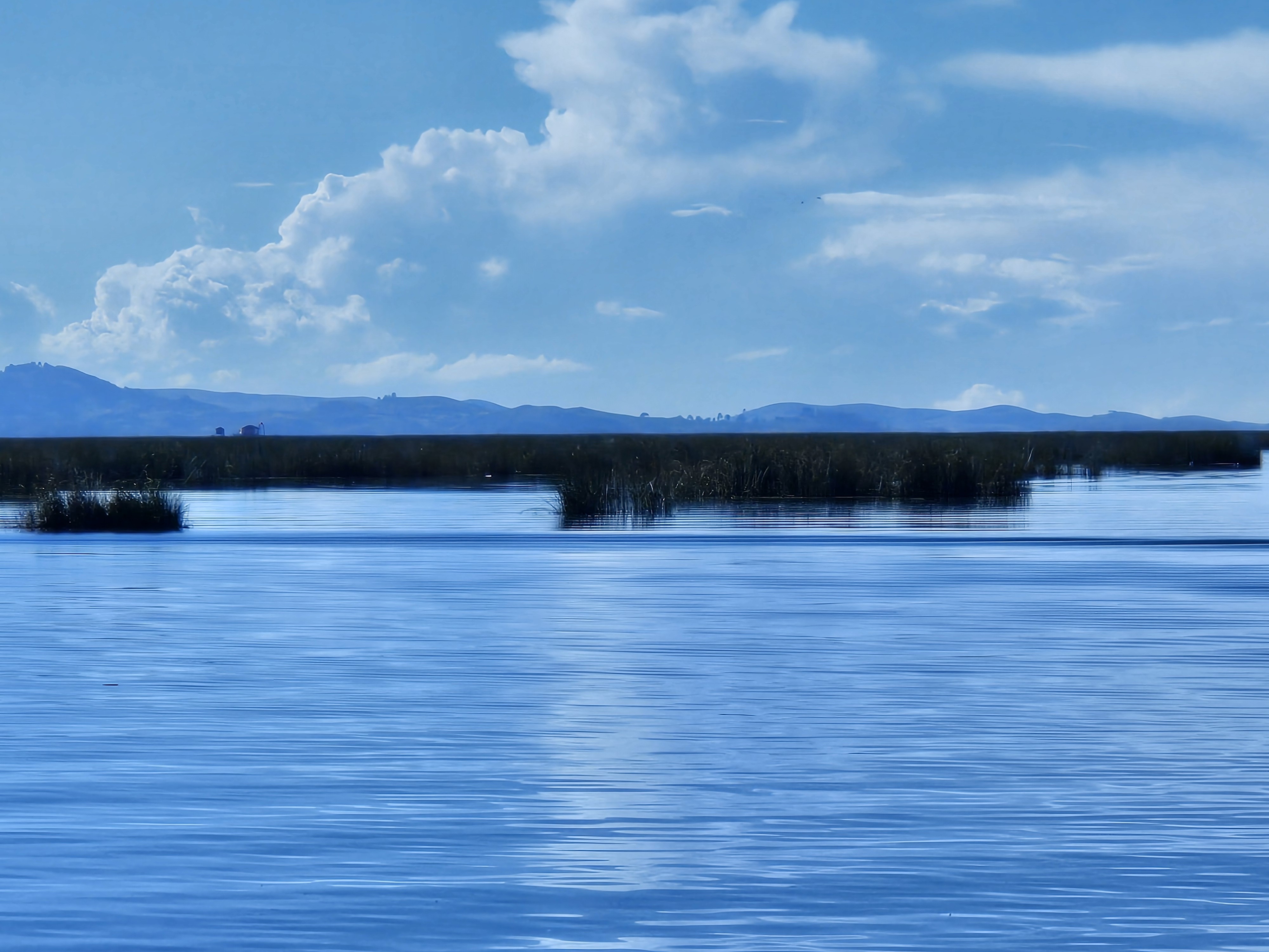 維尼測試 - 預購上限商品