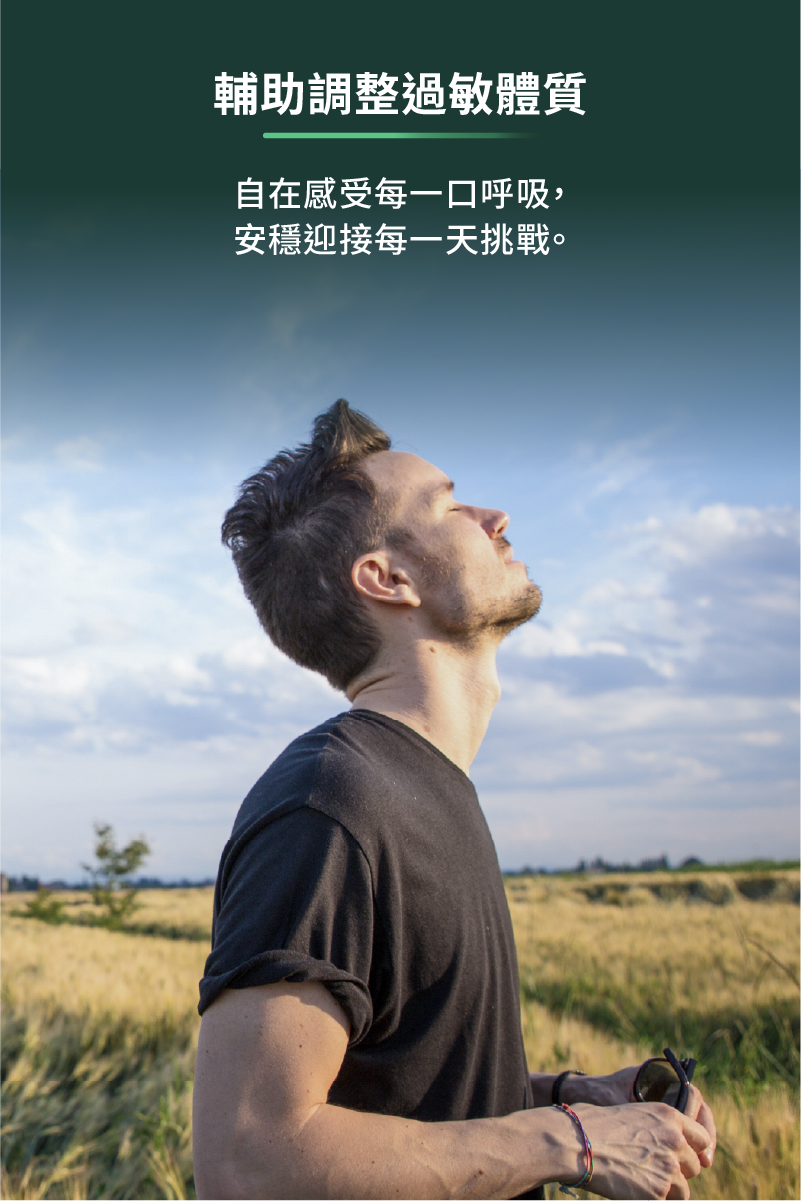 輔助調整過敏體質