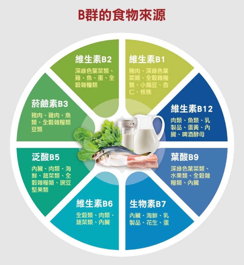 德國 雙心 Doppelherz 全日B群EX緩釋錠 45粒