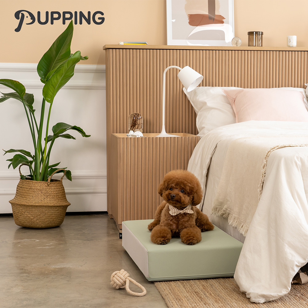 【PUPPING】韓國寵物防滑平台 - 草綠色