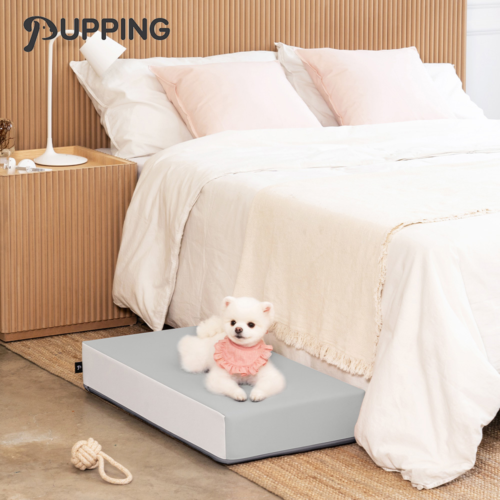 【PUPPING】韓國寵物防滑平台 - 淺灰色