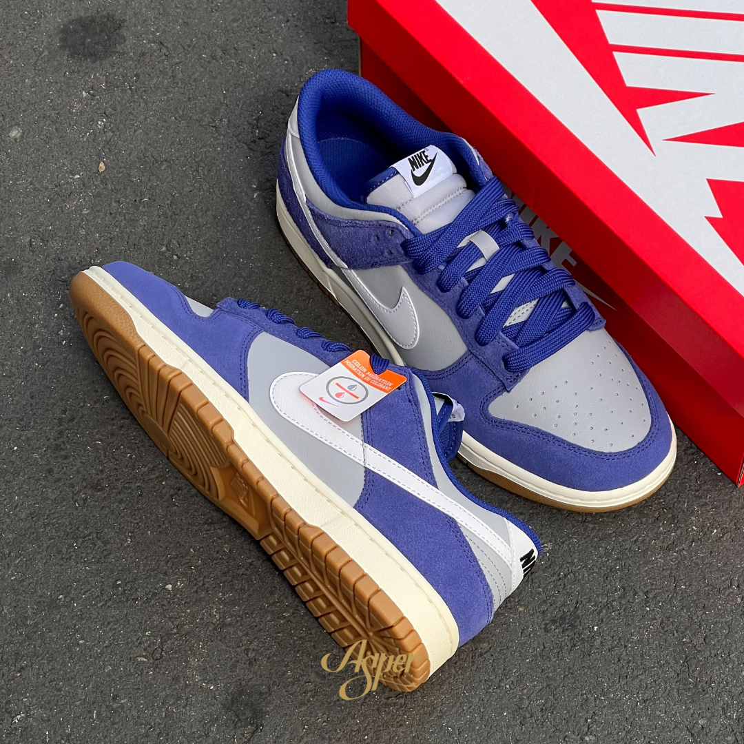 Nike Dunk Low Retro SE "Blue Gum" 海軍藍 男鞋 ib6399-003 IX