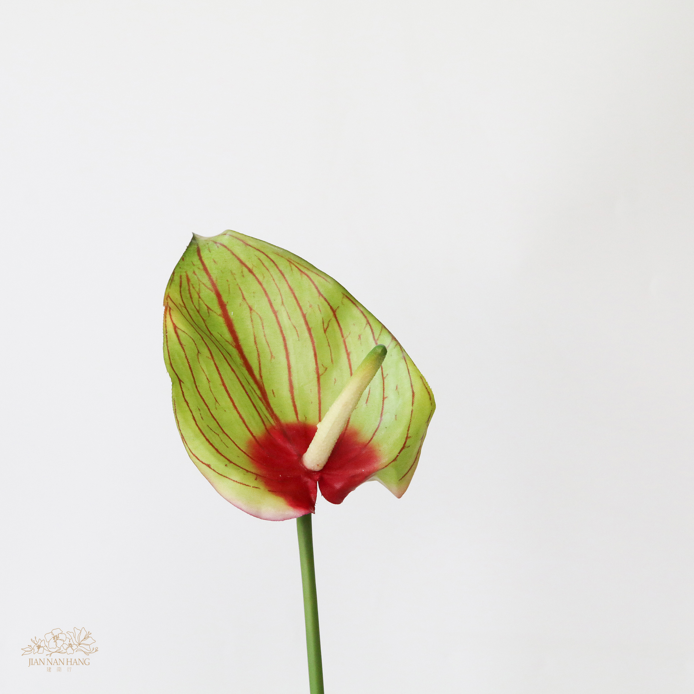 人造花 紅掌長枝 4色