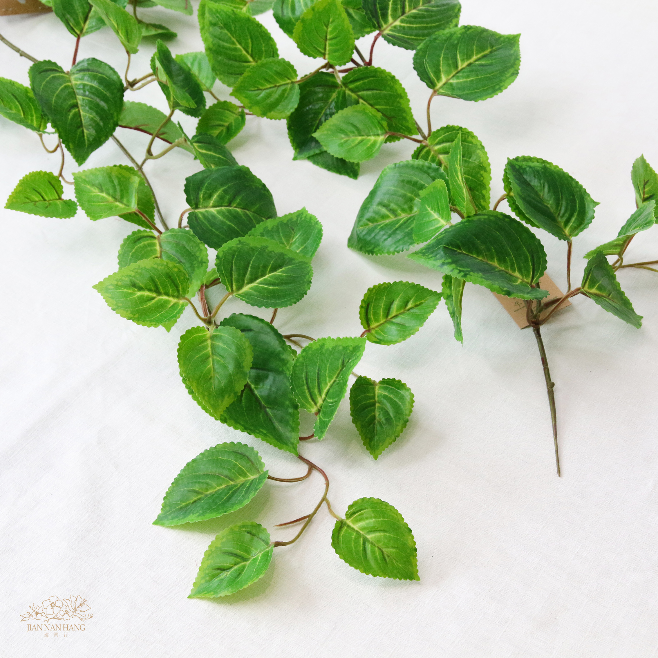 人造葉UV再生系列 彩葉草藤 綠