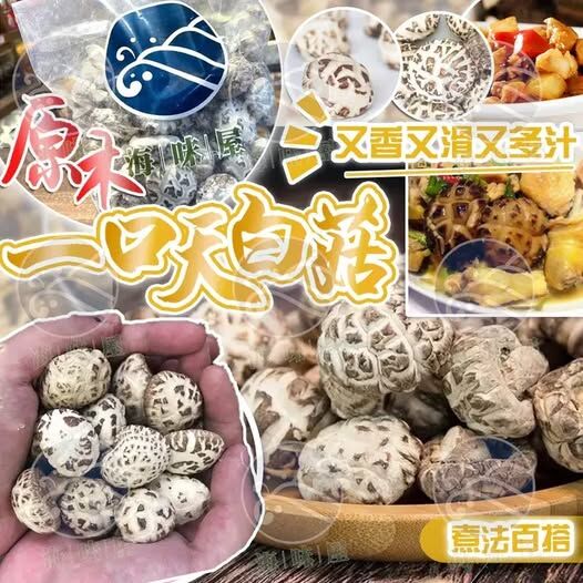 H20127 原木一口天白菇 300g