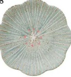 日本陶瓷花小町瓦碟16.5CM (綠) (日本製)