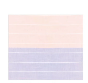 日本Ag＋Double gauze雙層紗布長毛巾(紫色) (日本製)