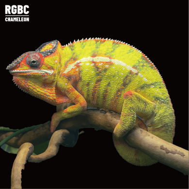 【高雄】Mitsio 米茲歐 |mso-m1111f