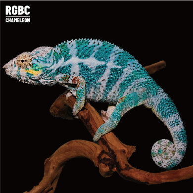 【高雄】Nosy Faly 諾西菲力 ｜nfy-m192f