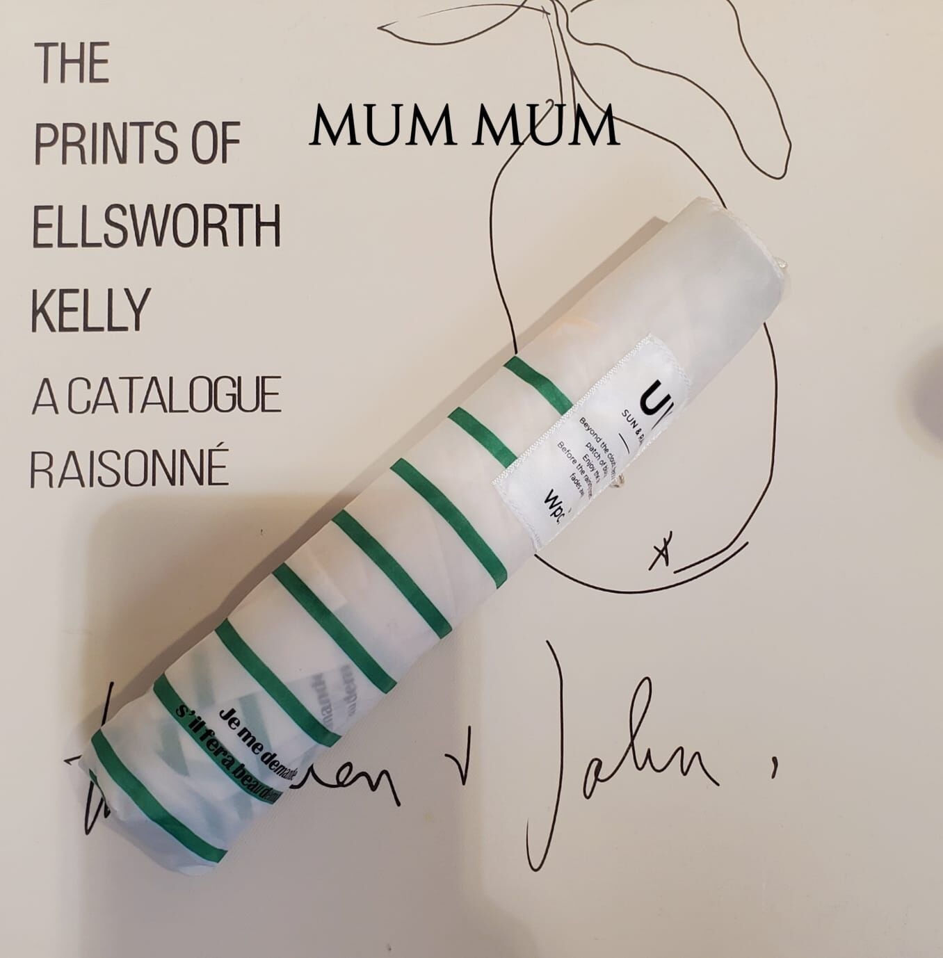 Ac822/間條輕量縮骨遮