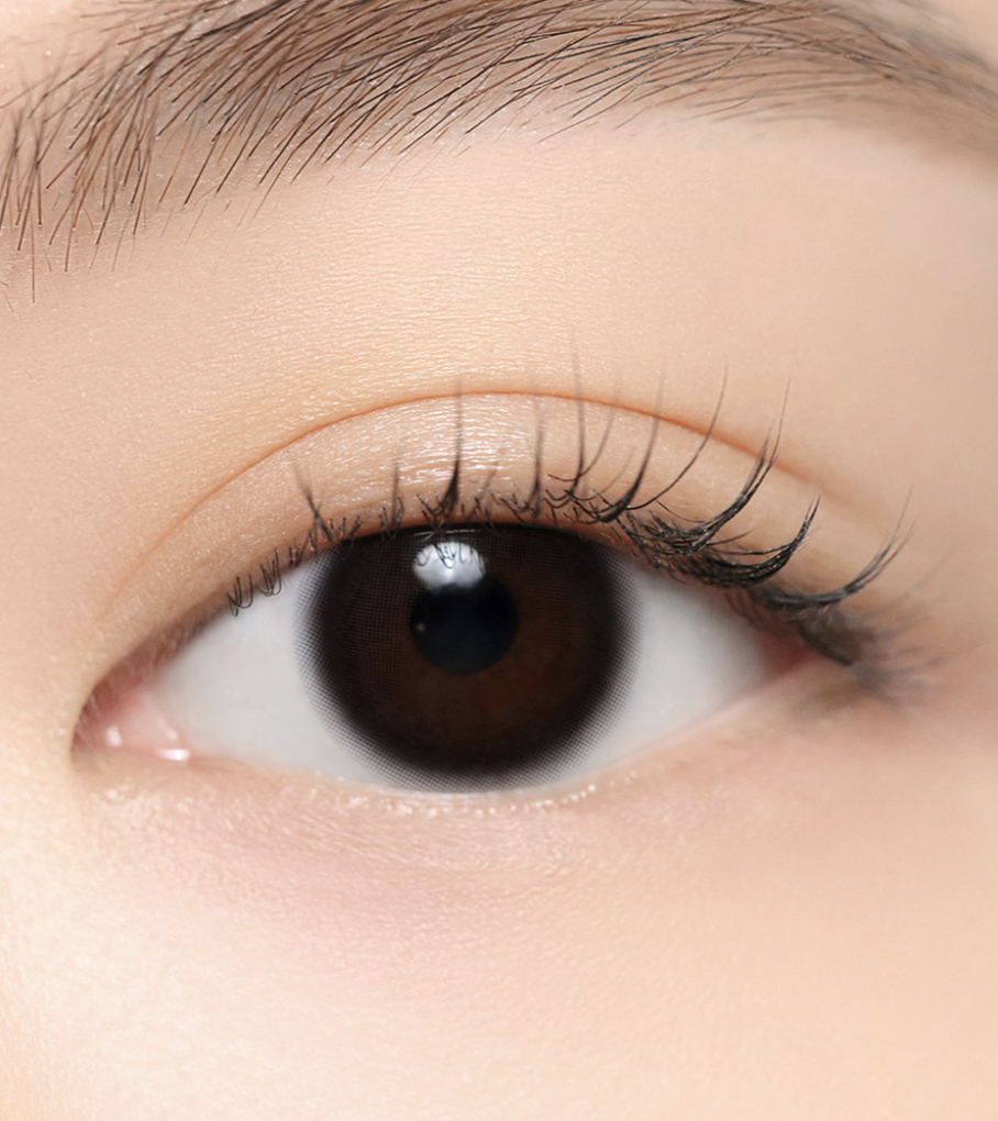 [日拋] Hapa Kristin Quiet Kristin Black 日拋 |每盒10片