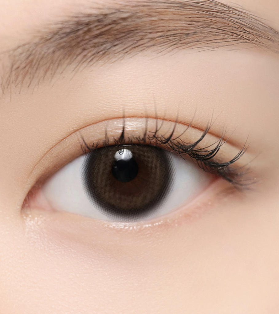 [日拋] Hapa Kristin Quiet Kristin Brown 日拋 |每盒10片