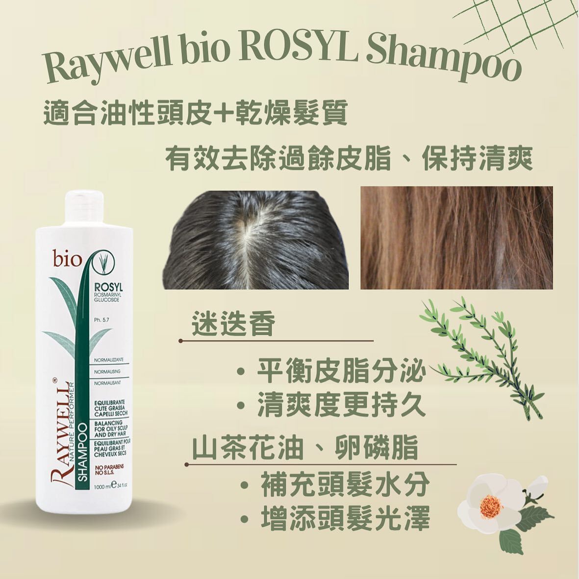 Raywell ROSYL Balancing  平衡控油洗 -1000ml