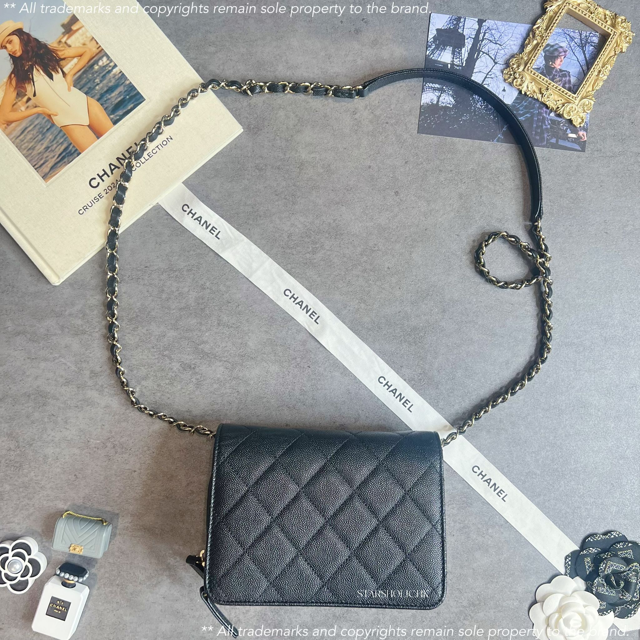 CHANEL Seasonal 19cm Flap Bag