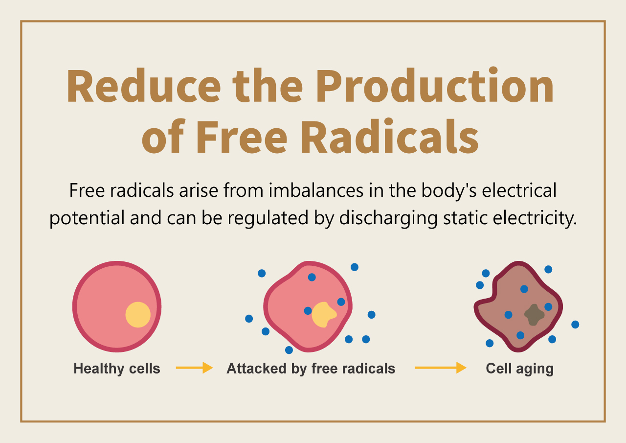 Impact of free radicals on the body