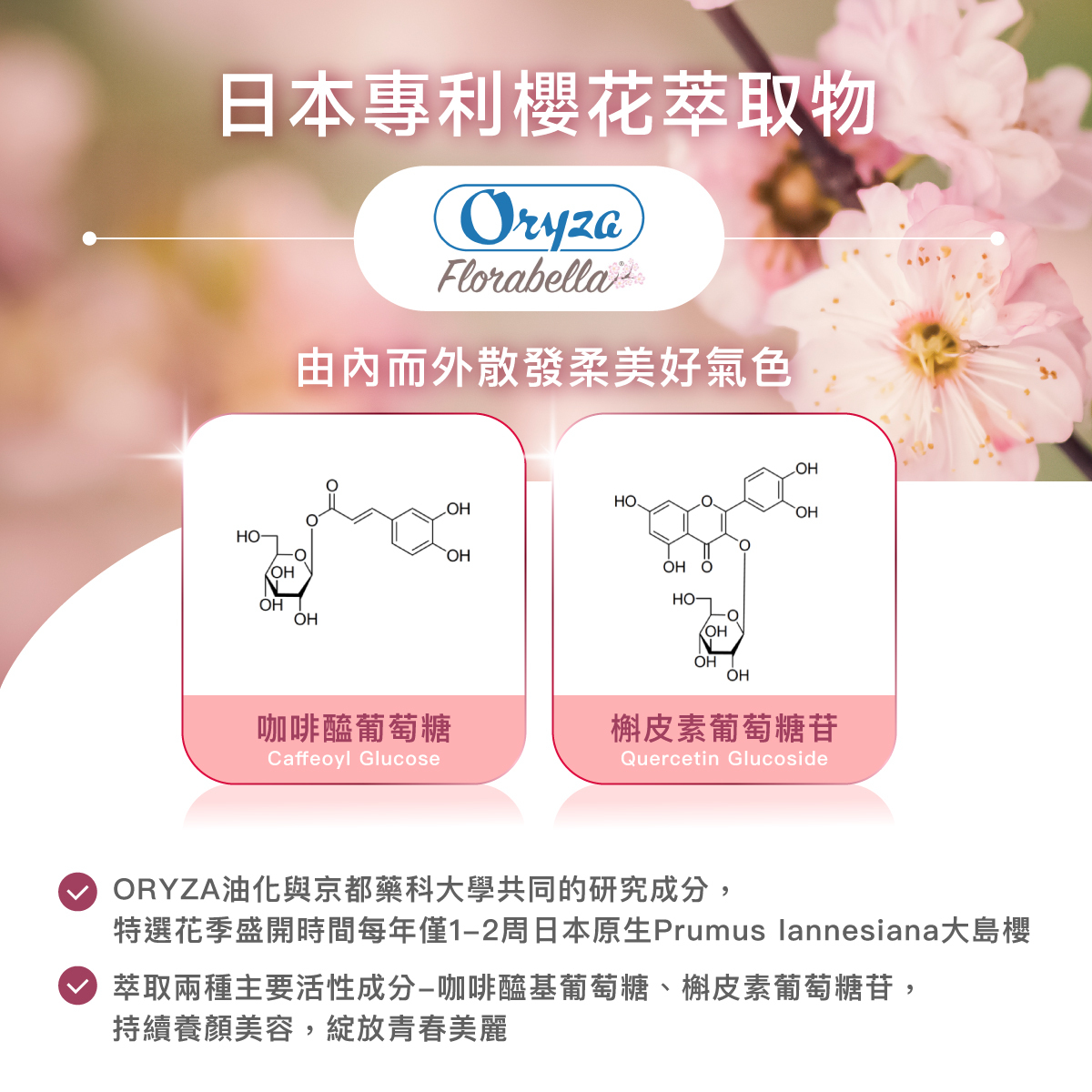 日本專利櫻花萃取物.ORYZA油化與京都藥科大學共同的研究成分.特選花季盛開時間每年僅1-2周日本原生Prumus lannesiana大島櫻。萃取兩種主要活性成分-咖啡醯基葡萄糖、槲皮素葡萄糖苷,持續養顏美容,綻放青春美麗