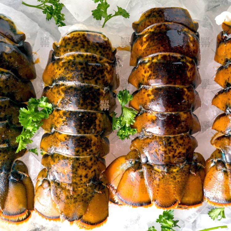 貝里斯BELIZE龍蝦尾5oz