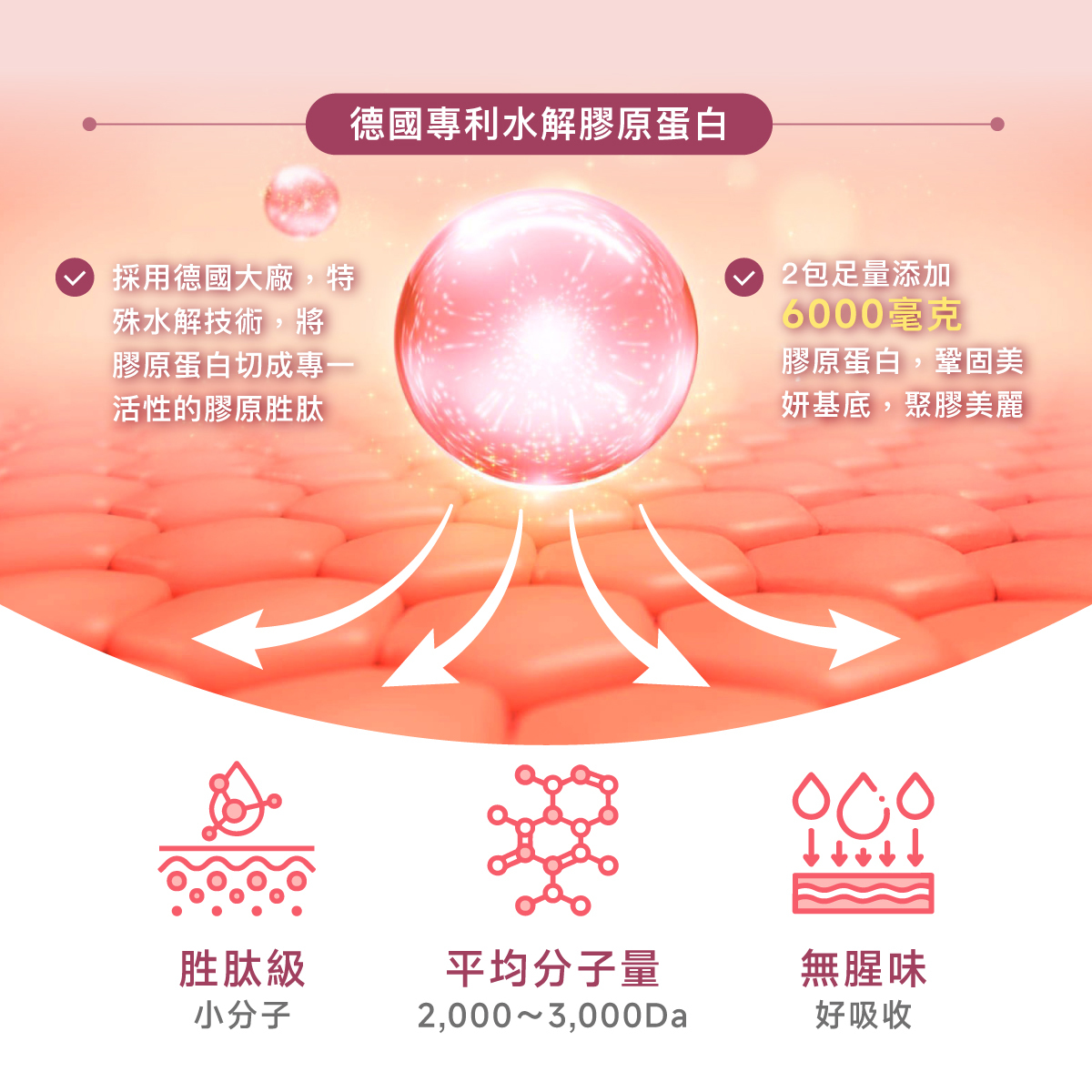 日德專利PO·OG雙膠原蛋白.採用日德百年大廠.專利製程.2包足量添加6000毫克.無腥味.胜肽級小分子